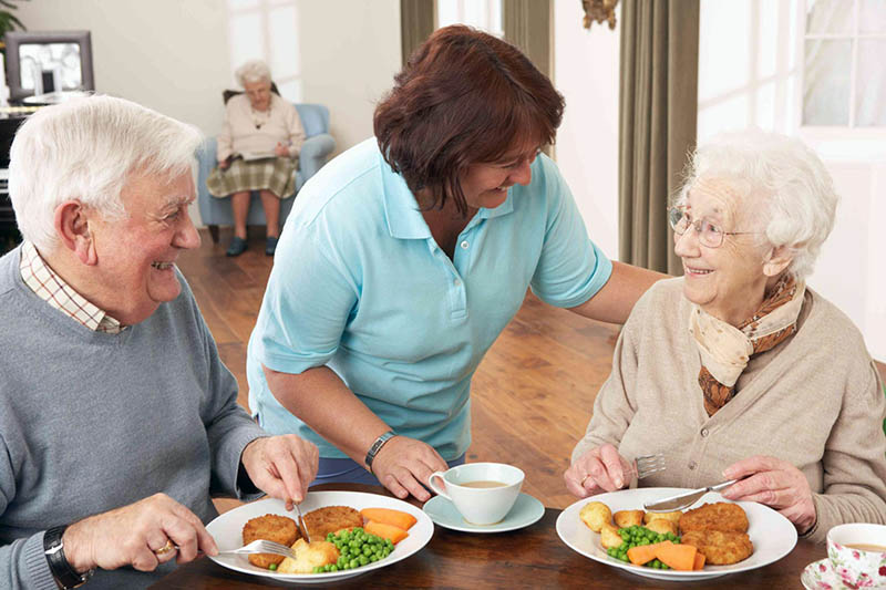 Pola Makan Seimbang untuk Energi Optimal di Usia 50 ke Atas